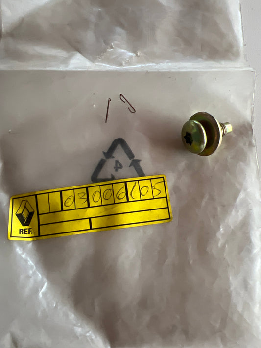 7703006105 TORNILLO CON ARANDELA RENAULT