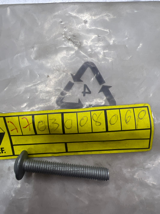 7703008060 TRN RLX M6X100 RENAULT
