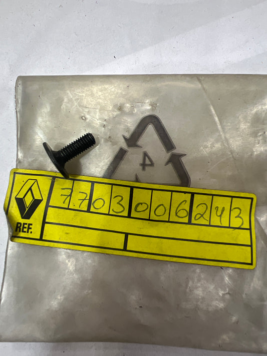 7703006243 TORNILLO M5-13,5 RENAULT