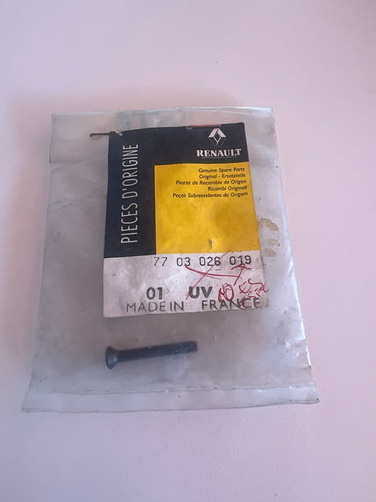 7703026019 TORNILLO RENAULT