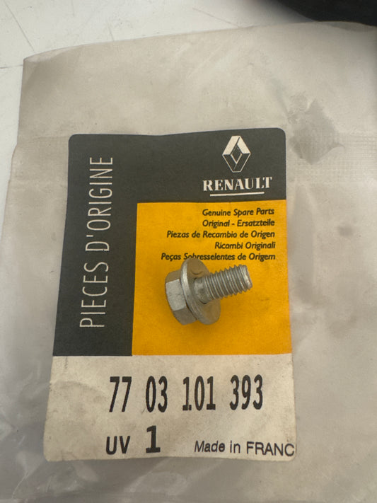 7703101393, TORNILLO M6, Renault
