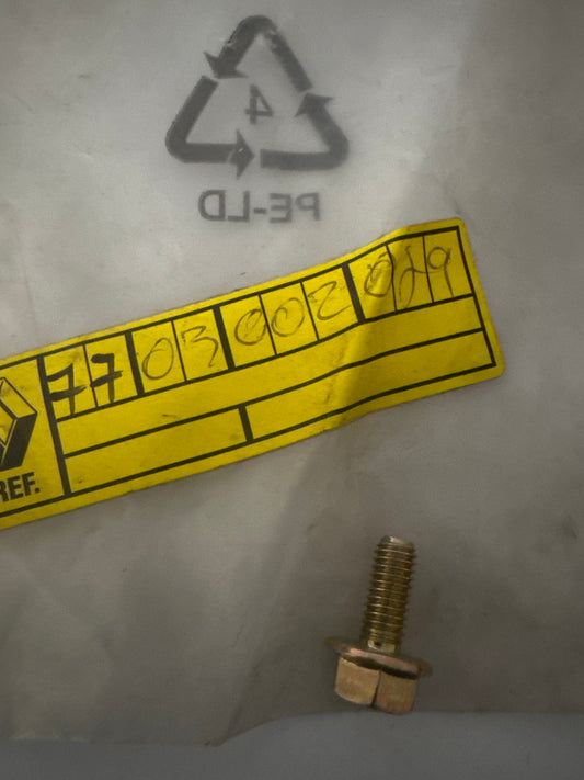 7703002029, TORNILLO M7X100, Renault