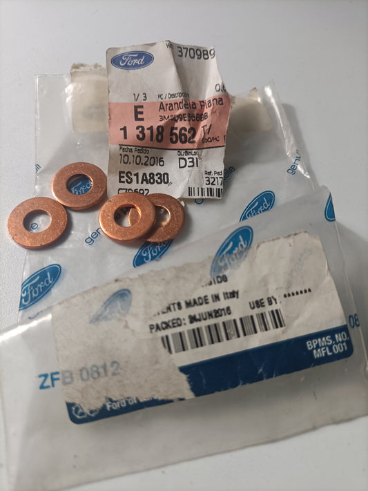 1318562, ANILHA PLANA, Ford